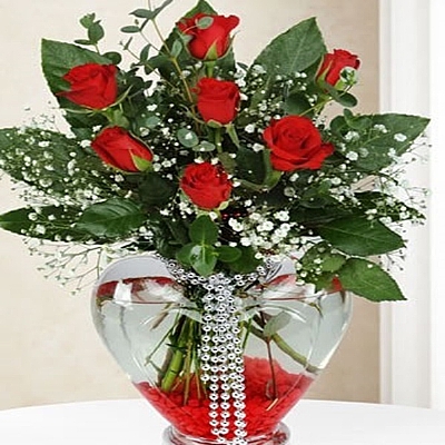 Kalp vazoda 7 adet gl